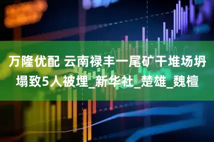 万隆优配 云南禄丰一尾矿干堆场坍塌致5人被埋_新华社_楚雄_魏檀