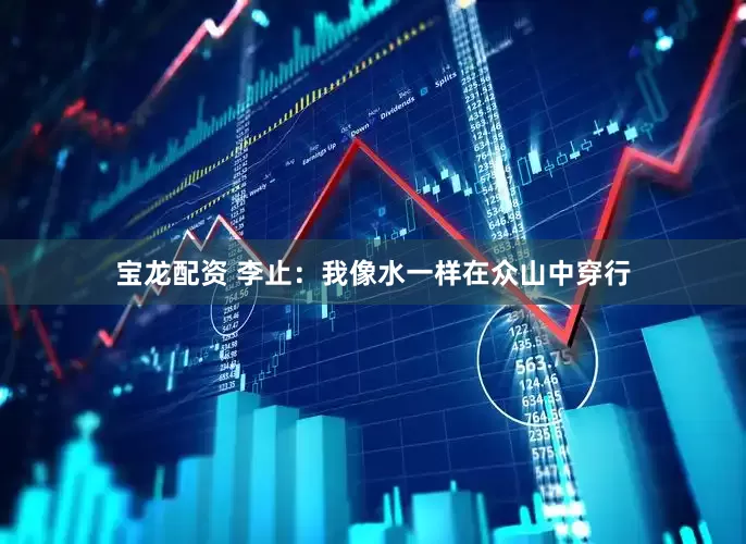 宝龙配资 李止：我像水一样在众山中穿行