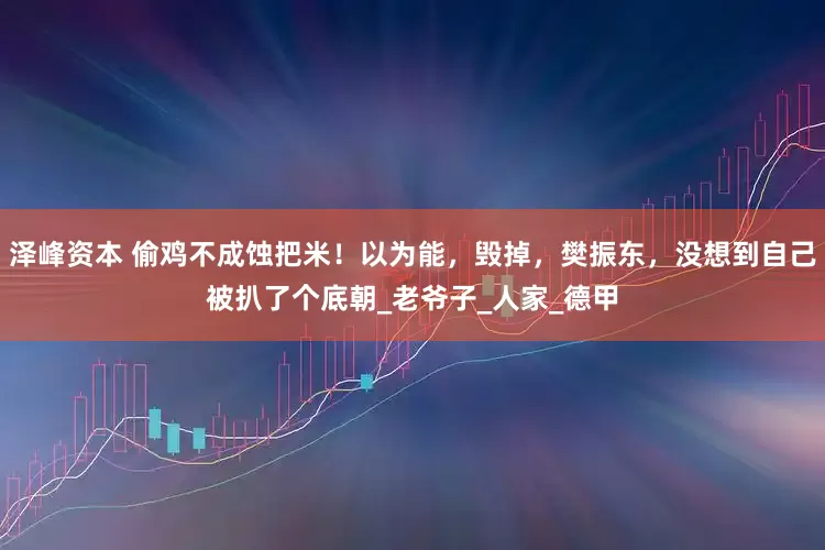 泽峰资本 偷鸡不成蚀把米！以为能，毁掉，樊振东，没想到自己被扒了个底朝_老爷子_人家_德甲