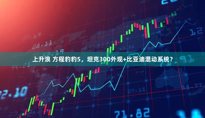 上升浪 方程豹豹5，坦克300外观+比亚迪混动系统？